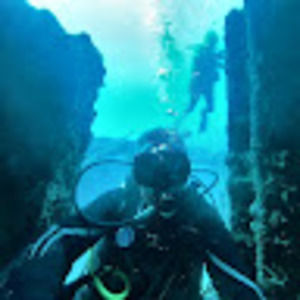 Meet your Posher, Rodrigo